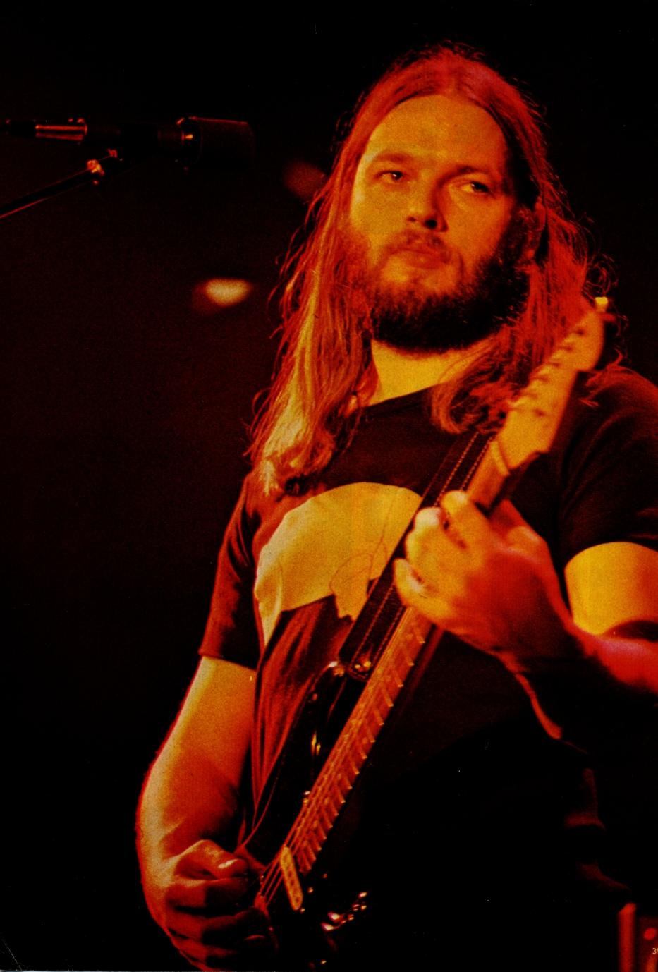 David Gilmour wallpaper №68346.